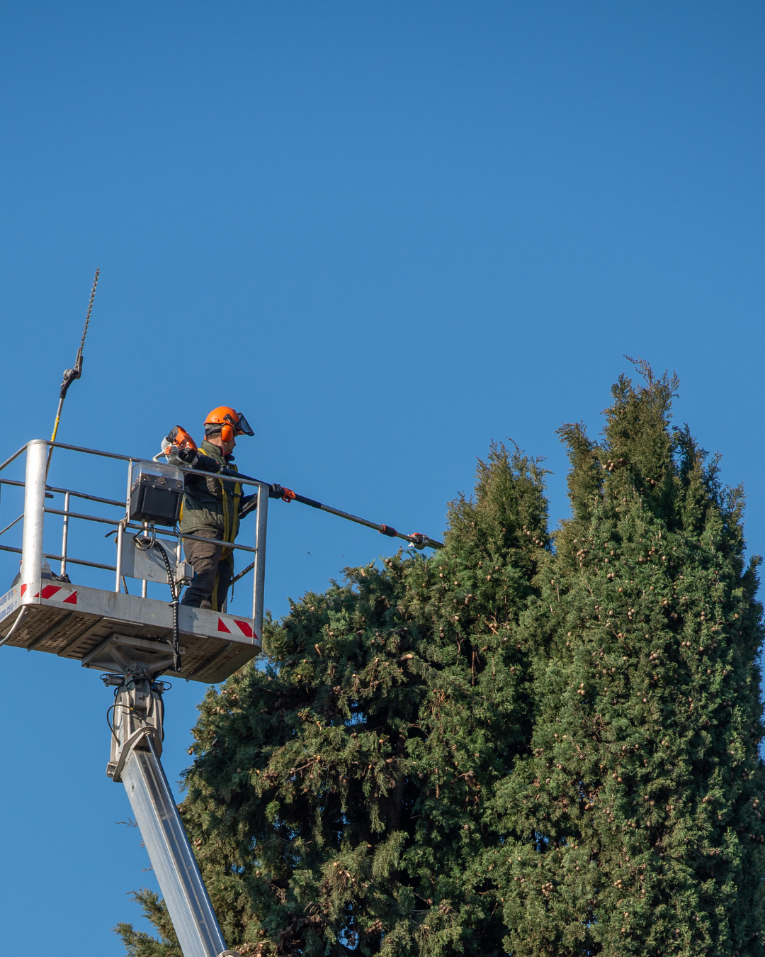 Arborist on cherry picker against blue sky